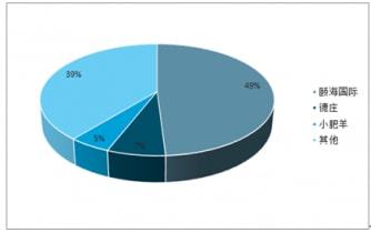 2022-2028年中國火鍋調味料市場分析與年度調研報告公關策劃